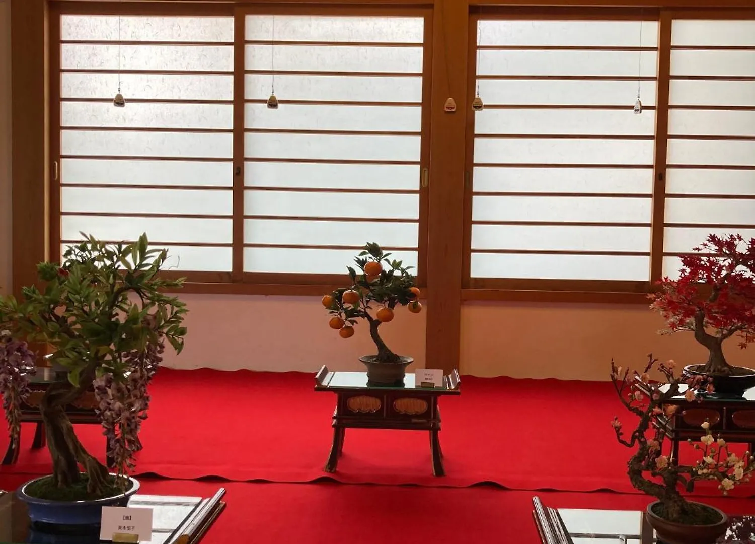 Hakone Doma Villa 0*,  Japan