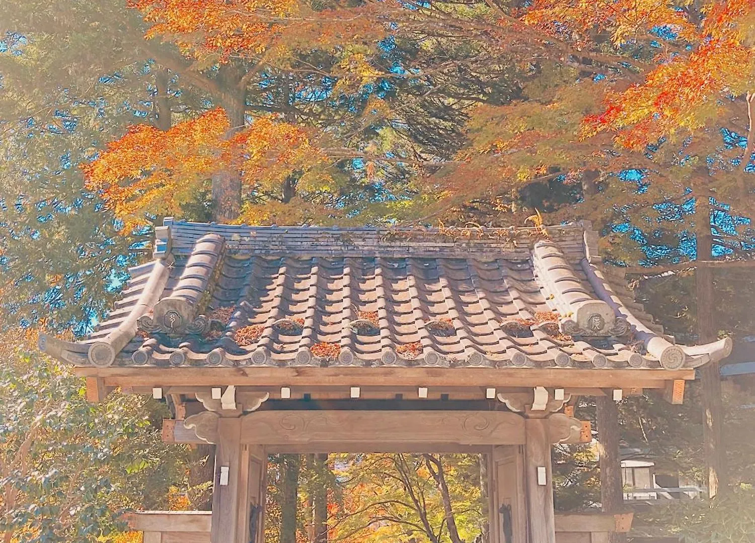 Hakone Doma Villa Japan
