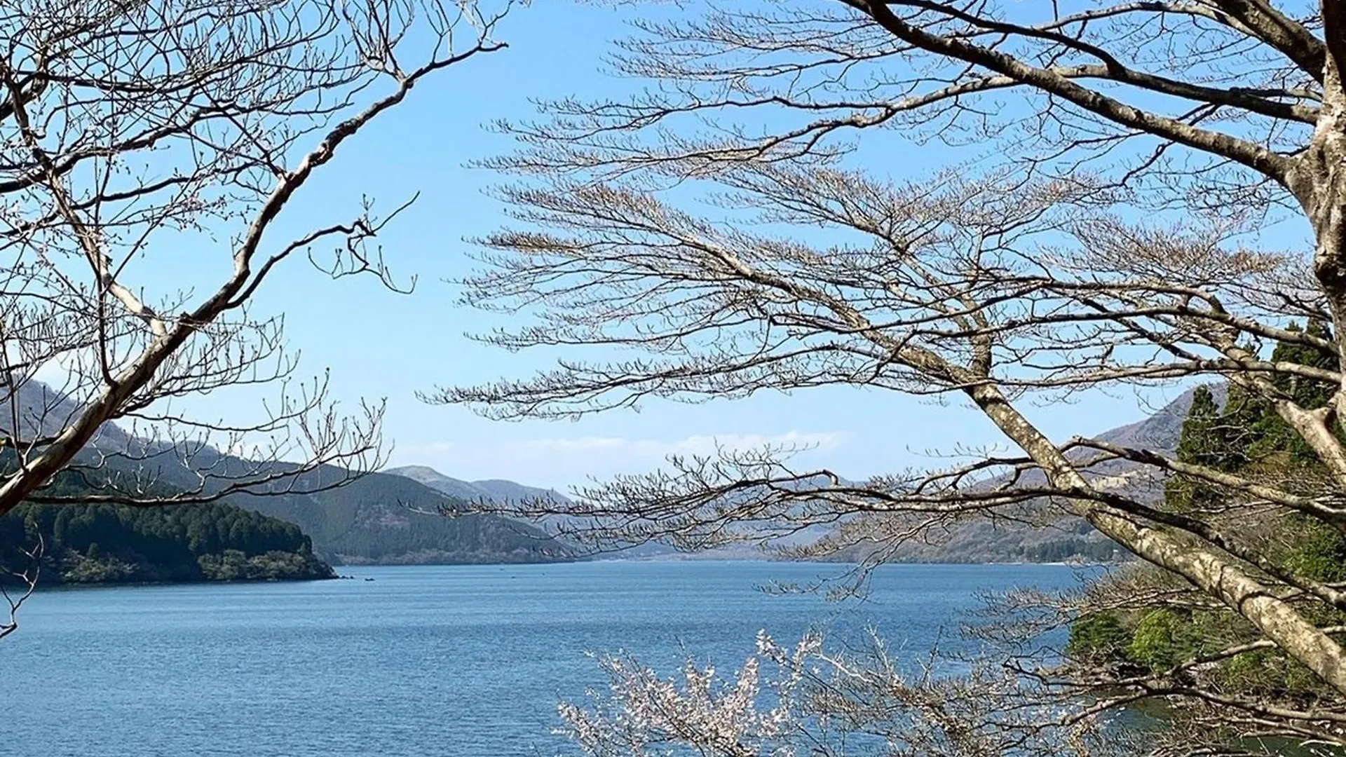 Willa Hakone Doma