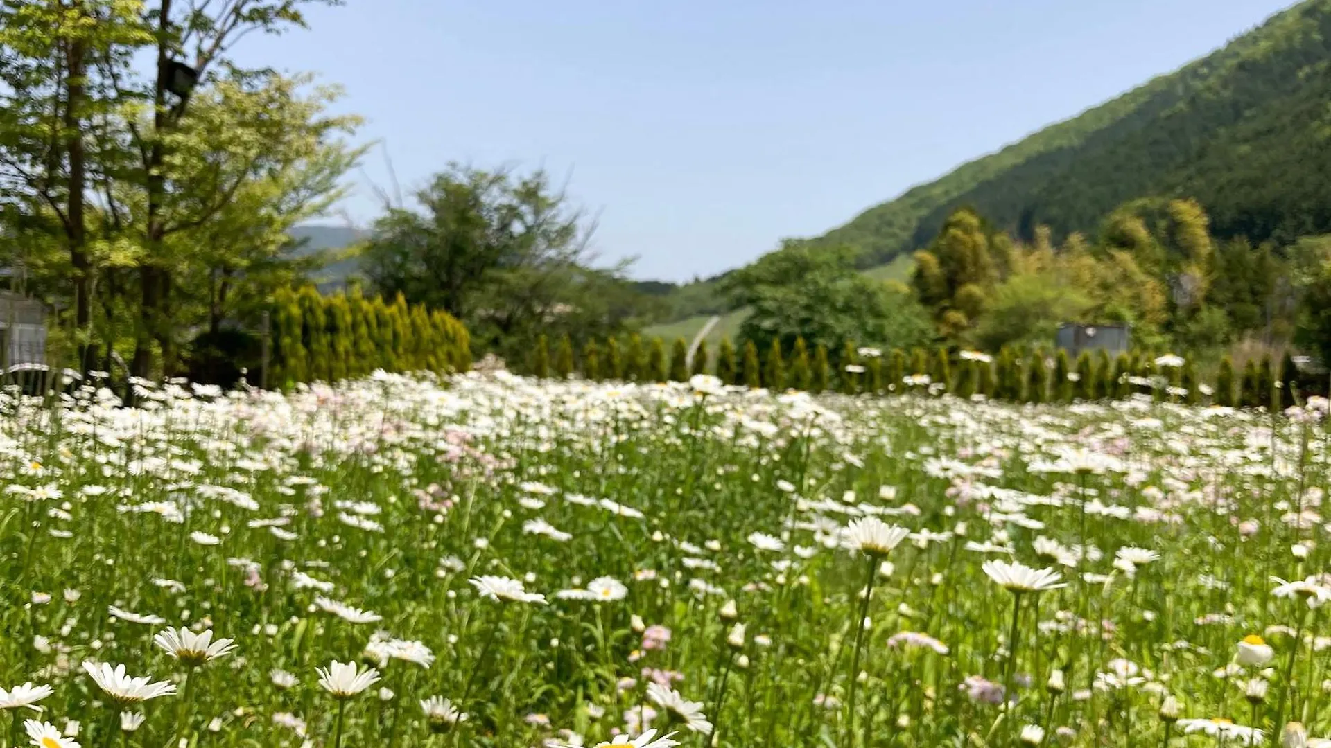 Willa Hakone Doma Japonia