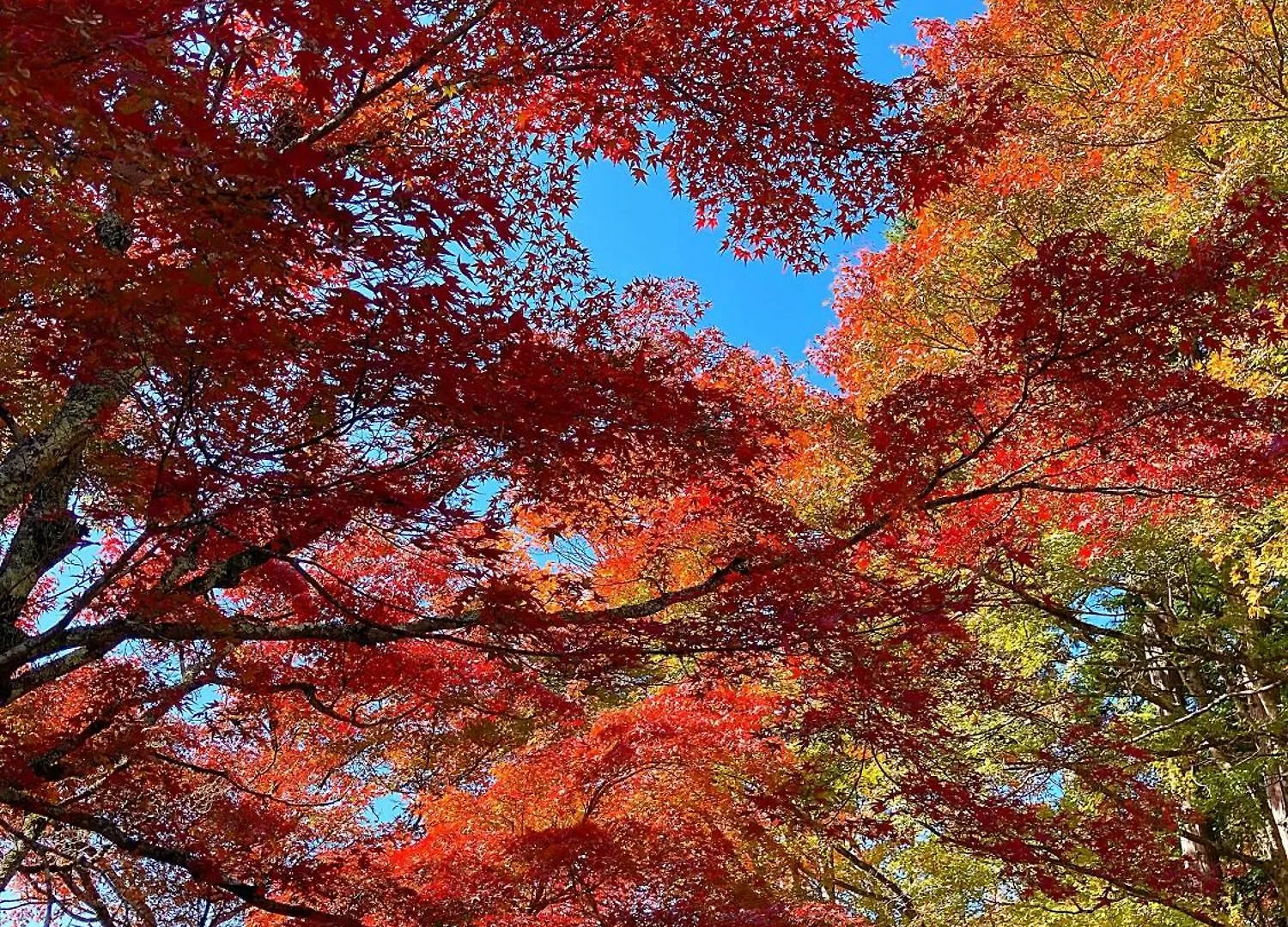 Hakone Doma Villa 0*,