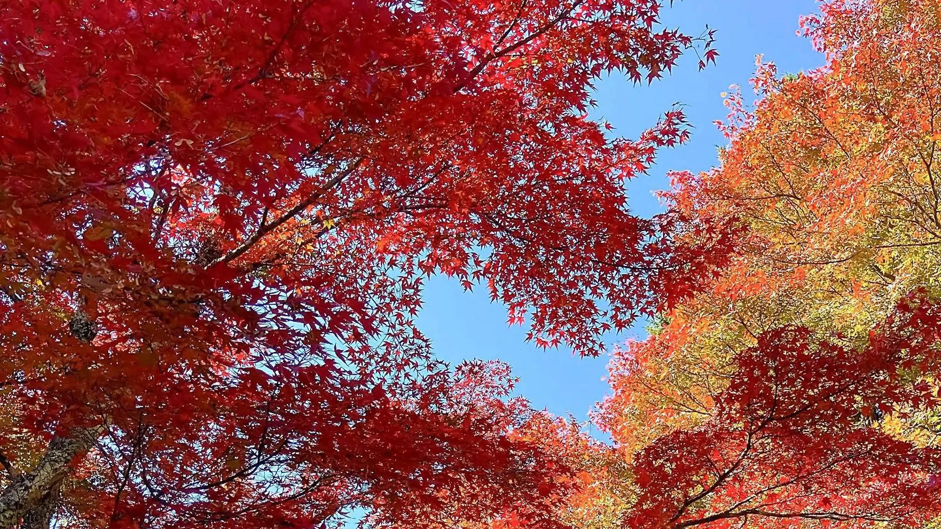 Hakone Doma Villa
