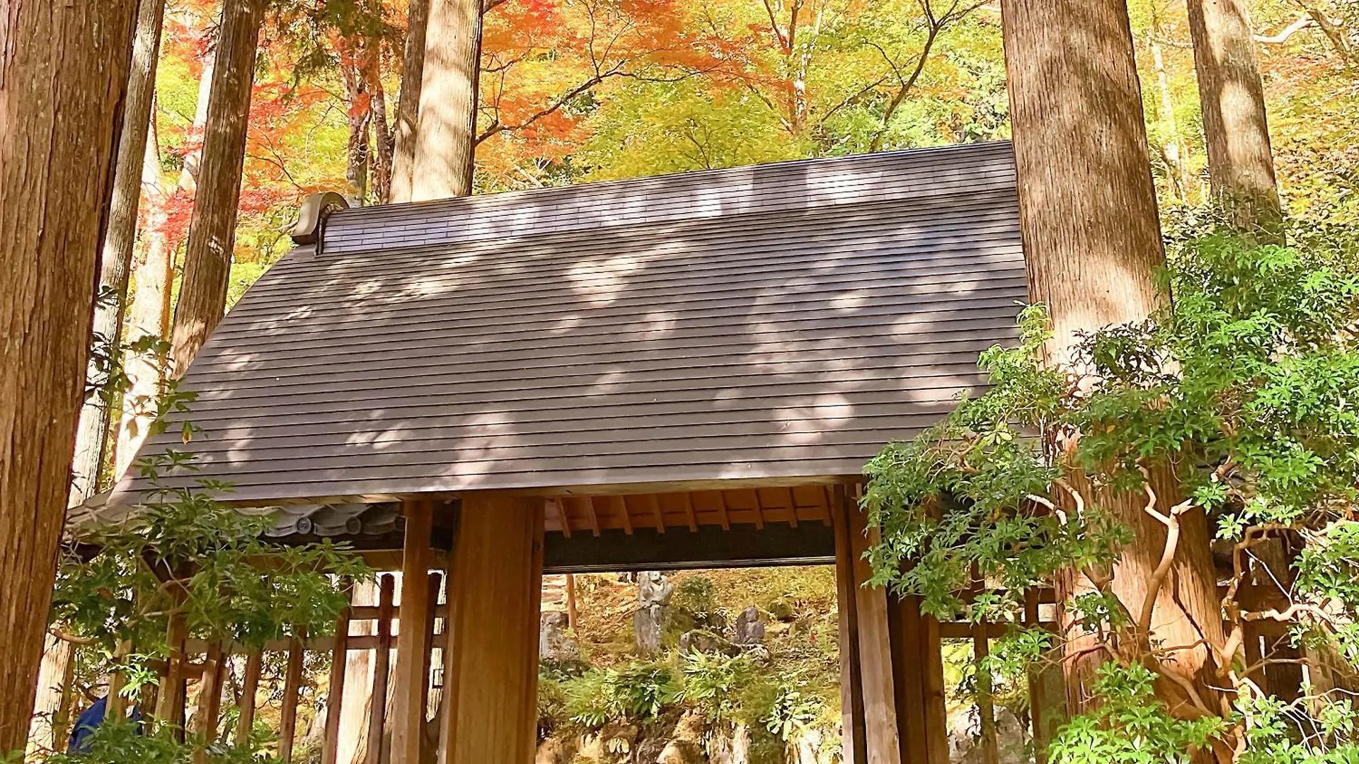 Hakone Doma Villa